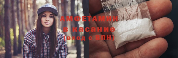 молекула духа Пестово