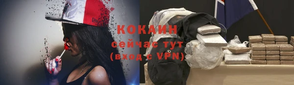 ALPHA-PVP Алексеевка